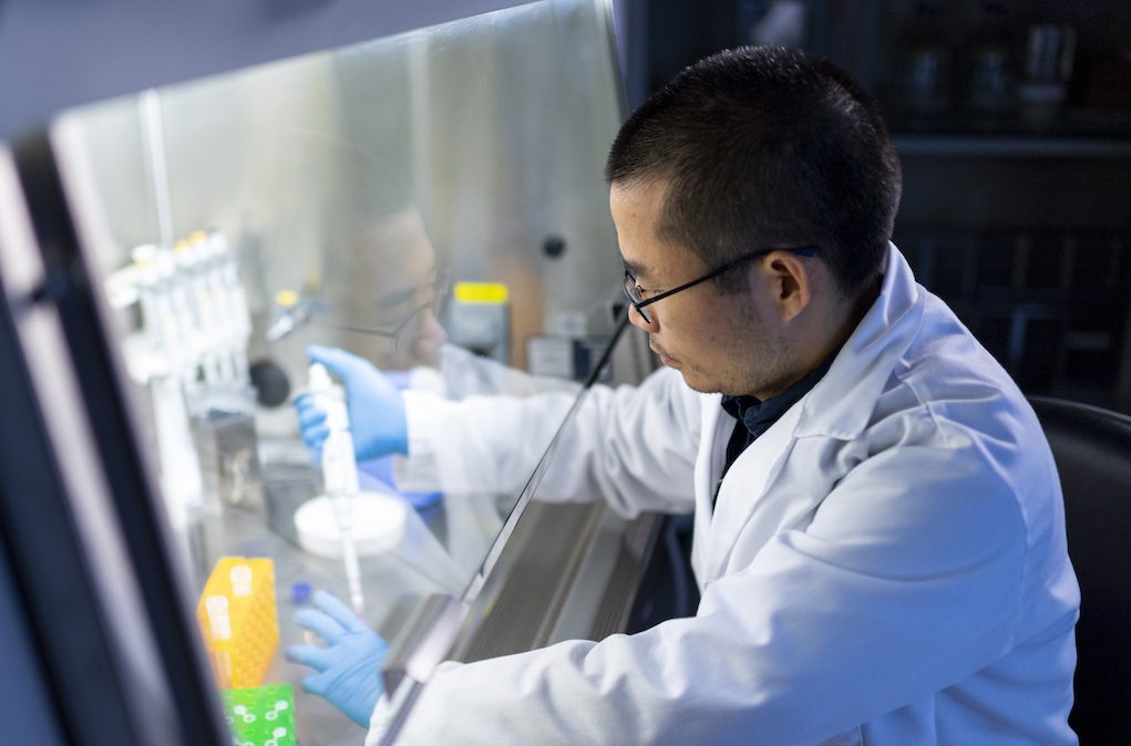Researcher Tongcheng Qian in lab
