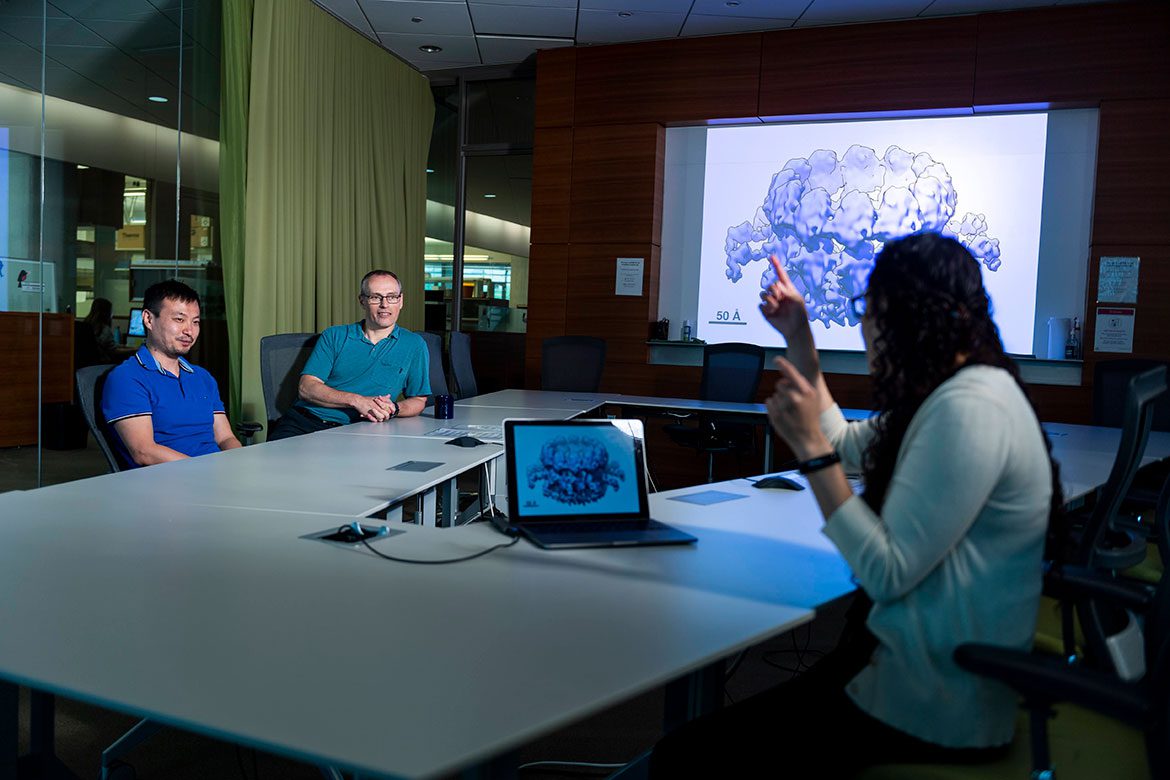 Members of the Ahlquist Lab discuss a cryo-EM image of the “viral crown” RNA replication complex responsible for genome replication in viruses like SARS-CoV-2.