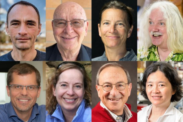 From top left, Jean-Michel Ané (biological sciences), Vernon Barger (physics), Katrina T. Forest (biological sciences), Simon Gilroy (biological sciences), James Keck (biological sciences), Sissel Schroeder (anthropology), Brad Schwartz (medical sciences) and Jue “Jade” Wang (biological sciences) have been elected 2023 AAAS Fellows.
