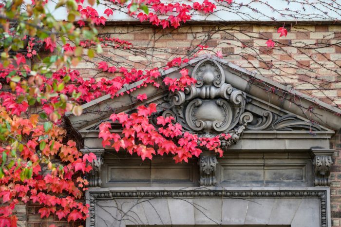 UW–Madison was named a “new Ivy,” but it wasn’t for the ivy clinging to Agriculture Hall. Photo: Jeff Miller