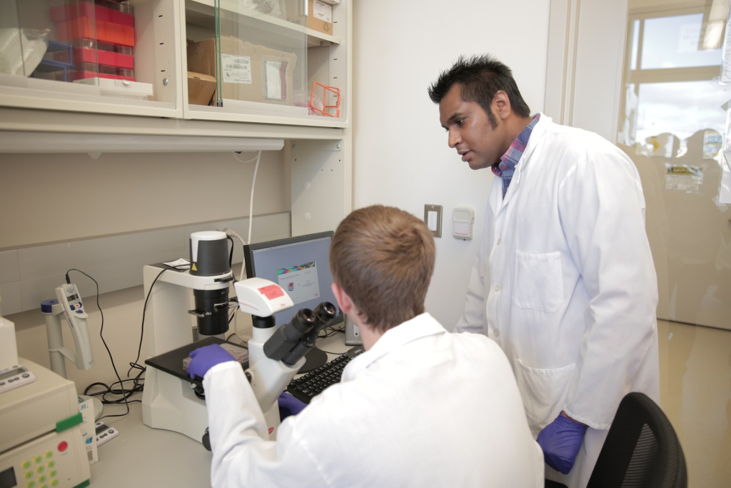 Krishanu Saha, right, works in a lab at the Wisconsin Institute for Discovery. Submitted photo